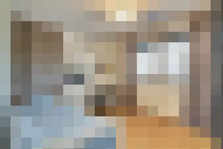 Kuiperijstraat 9 Raamsdonksveer thumbnail 33