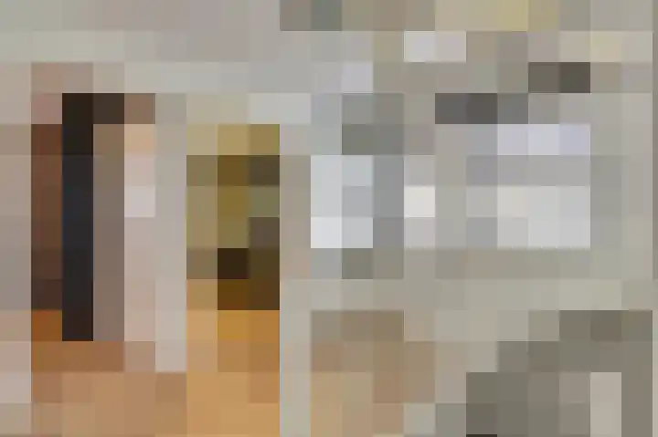 Kuiperijstraat 9 Raamsdonksveer thumbnail 34