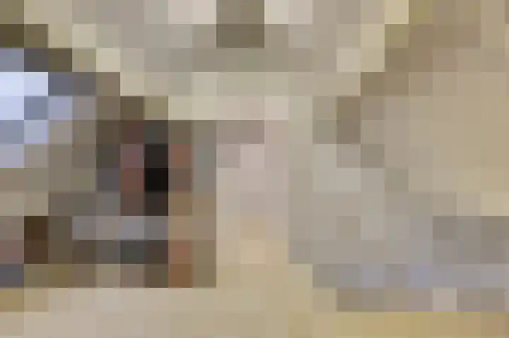 Kuiperijstraat 9 Raamsdonksveer thumbnail 36