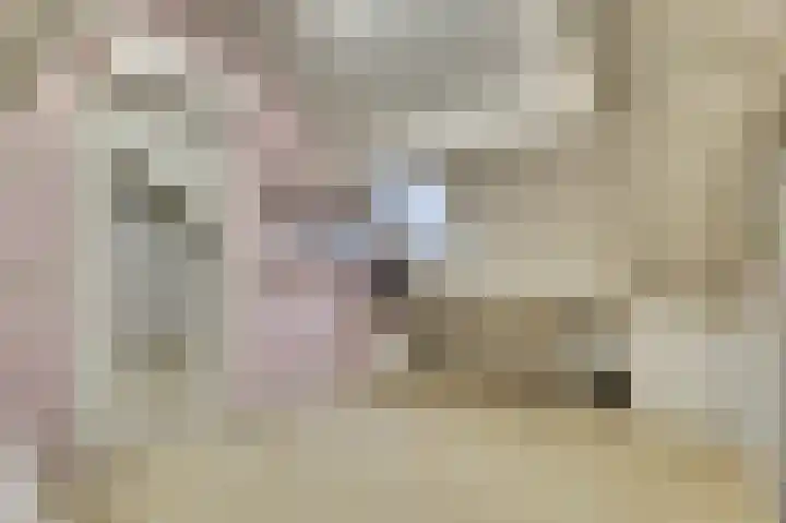 Kuiperijstraat 9 Raamsdonksveer thumbnail 38