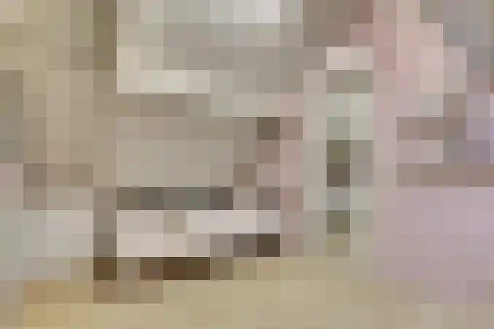 Kuiperijstraat 9 Raamsdonksveer thumbnail 39