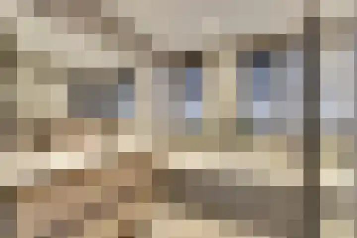 Kuiperijstraat 9 Raamsdonksveer thumbnail 4