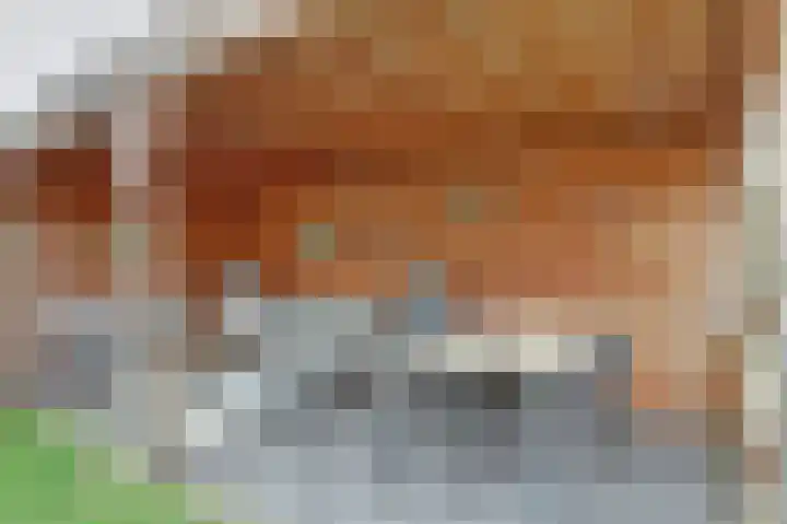 Kuiperijstraat 9 Raamsdonksveer thumbnail 41