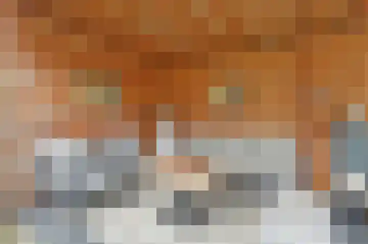 Kuiperijstraat 9 Raamsdonksveer thumbnail 42