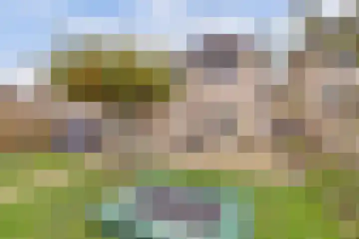 Kuiperijstraat 9 Raamsdonksveer thumbnail 44
