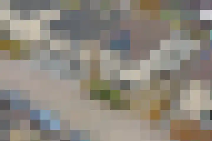 Kuiperijstraat 9 Raamsdonksveer thumbnail 46