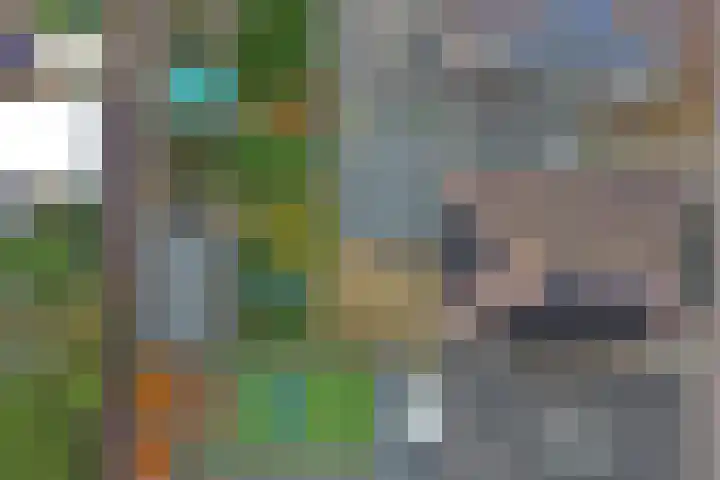 Kuiperijstraat 9 Raamsdonksveer thumbnail 49