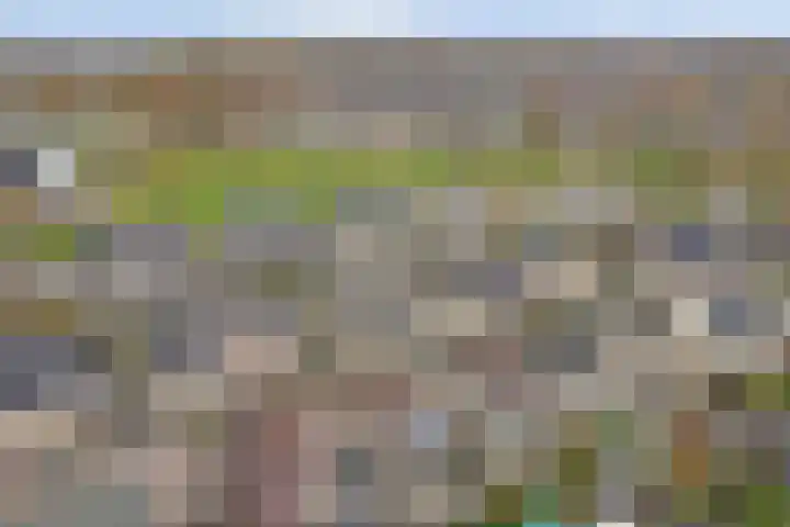 Kuiperijstraat 9 Raamsdonksveer thumbnail 51