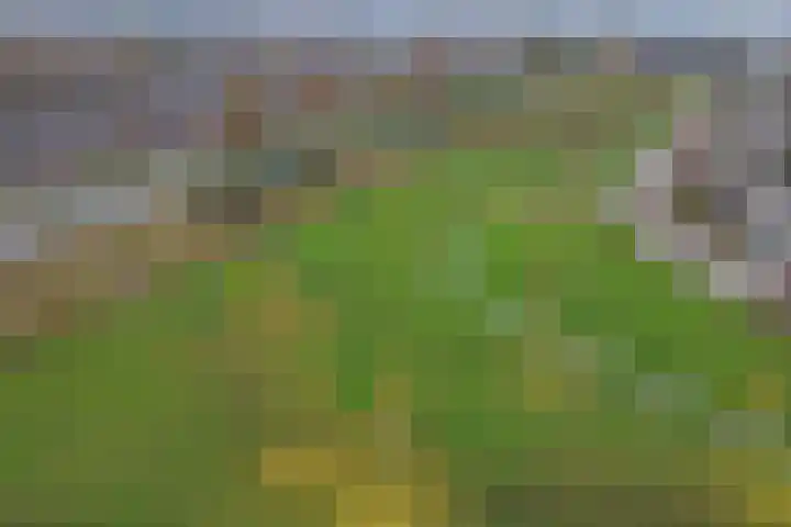Kuiperijstraat 9 Raamsdonksveer thumbnail 52