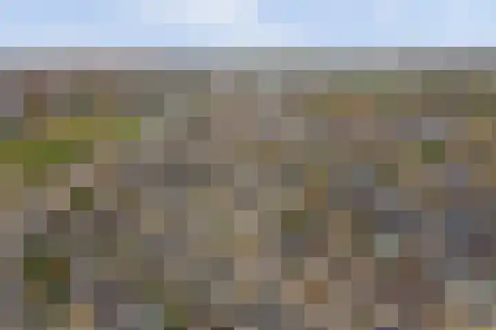 Kuiperijstraat 9 Raamsdonksveer thumbnail 53