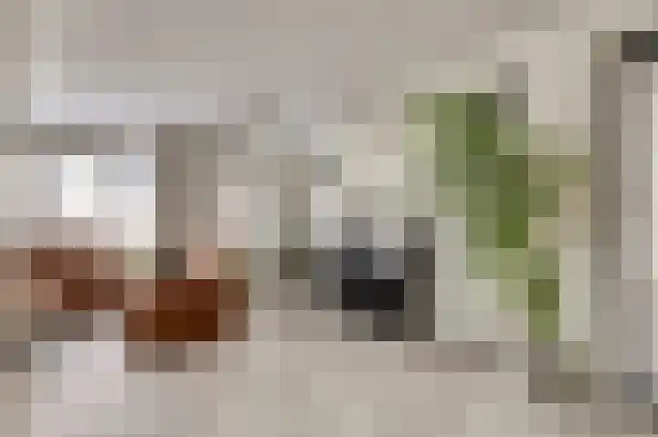 Kuiperijstraat 9 Raamsdonksveer thumbnail 6