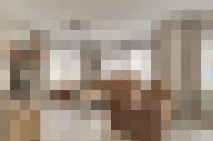 Kuiperijstraat 9 Raamsdonksveer thumbnail 8