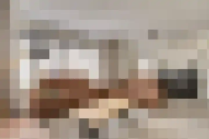 Kuiperijstraat 9 Raamsdonksveer thumbnail 9