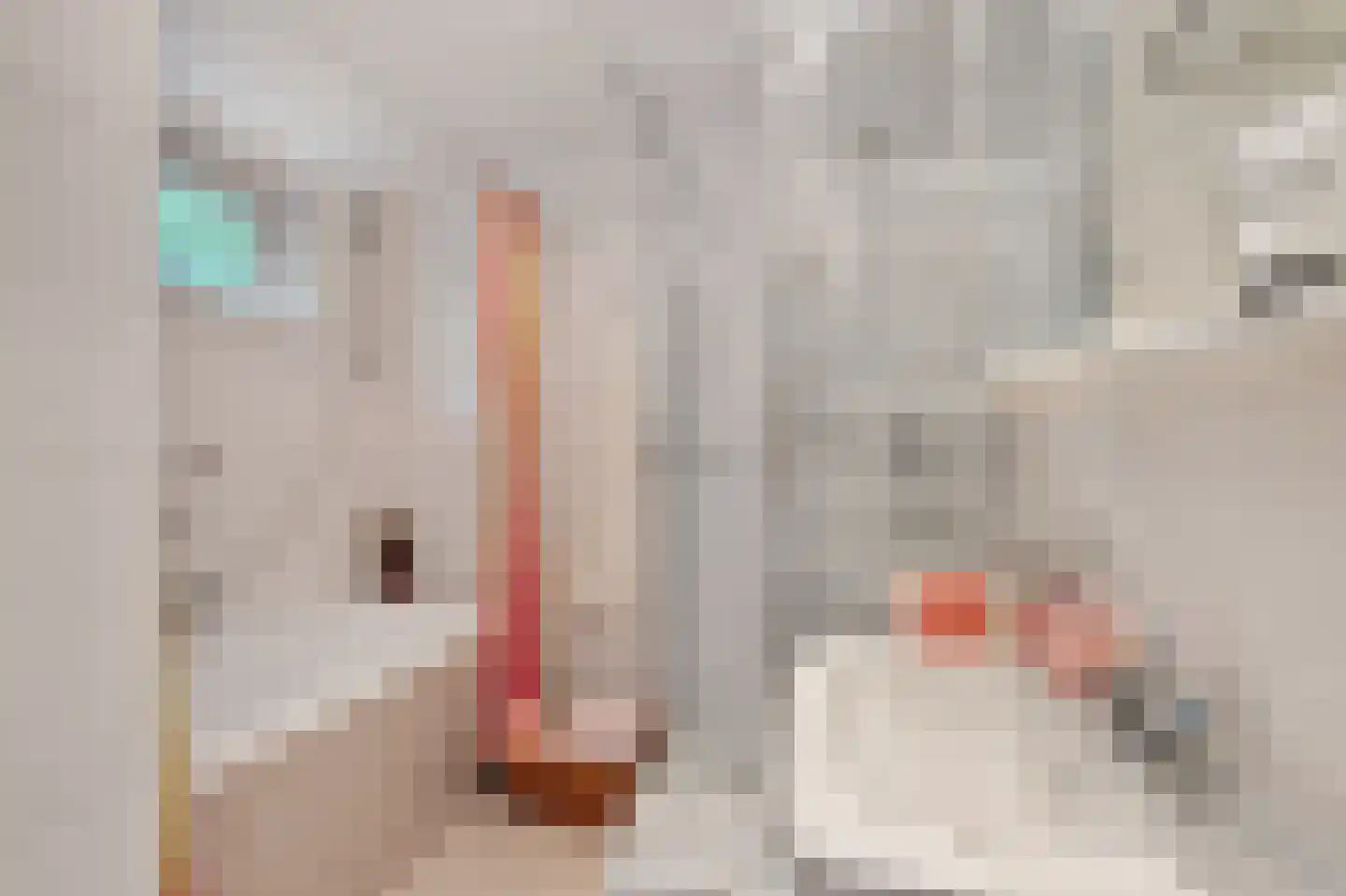 Kuiperijweg 10 Garsthuizen thumbnail 32