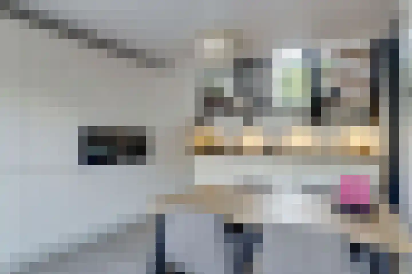 Kuipersdijk 10 Enkhuizen thumbnail 18