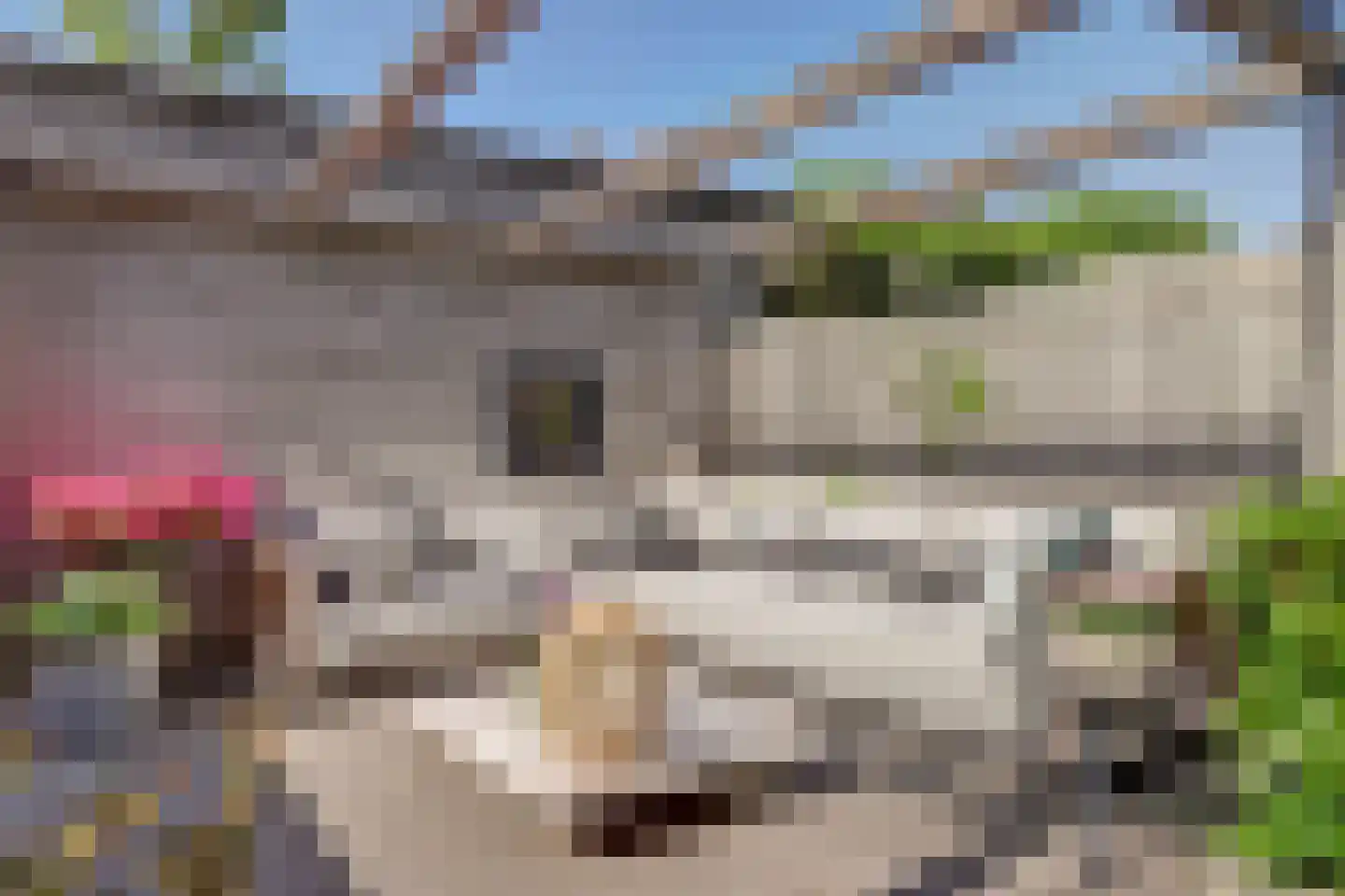 Kuipersdijk 10 Enkhuizen thumbnail 20