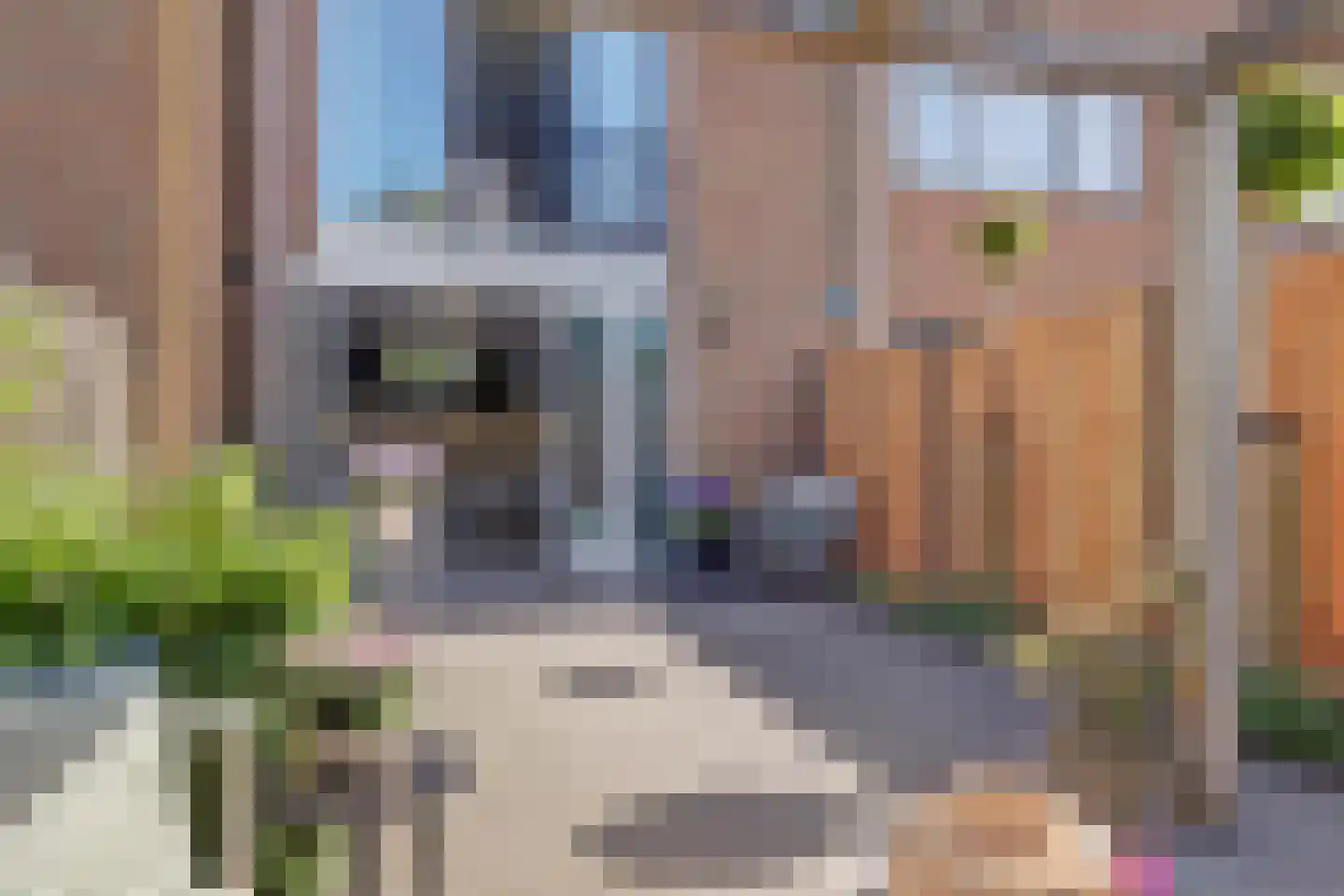 Kuipersdijk 10 Enkhuizen thumbnail 22
