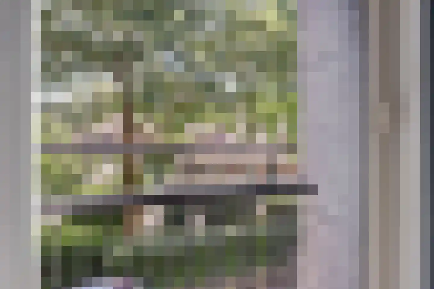 Kuipersdijk 10 Enkhuizen thumbnail 26