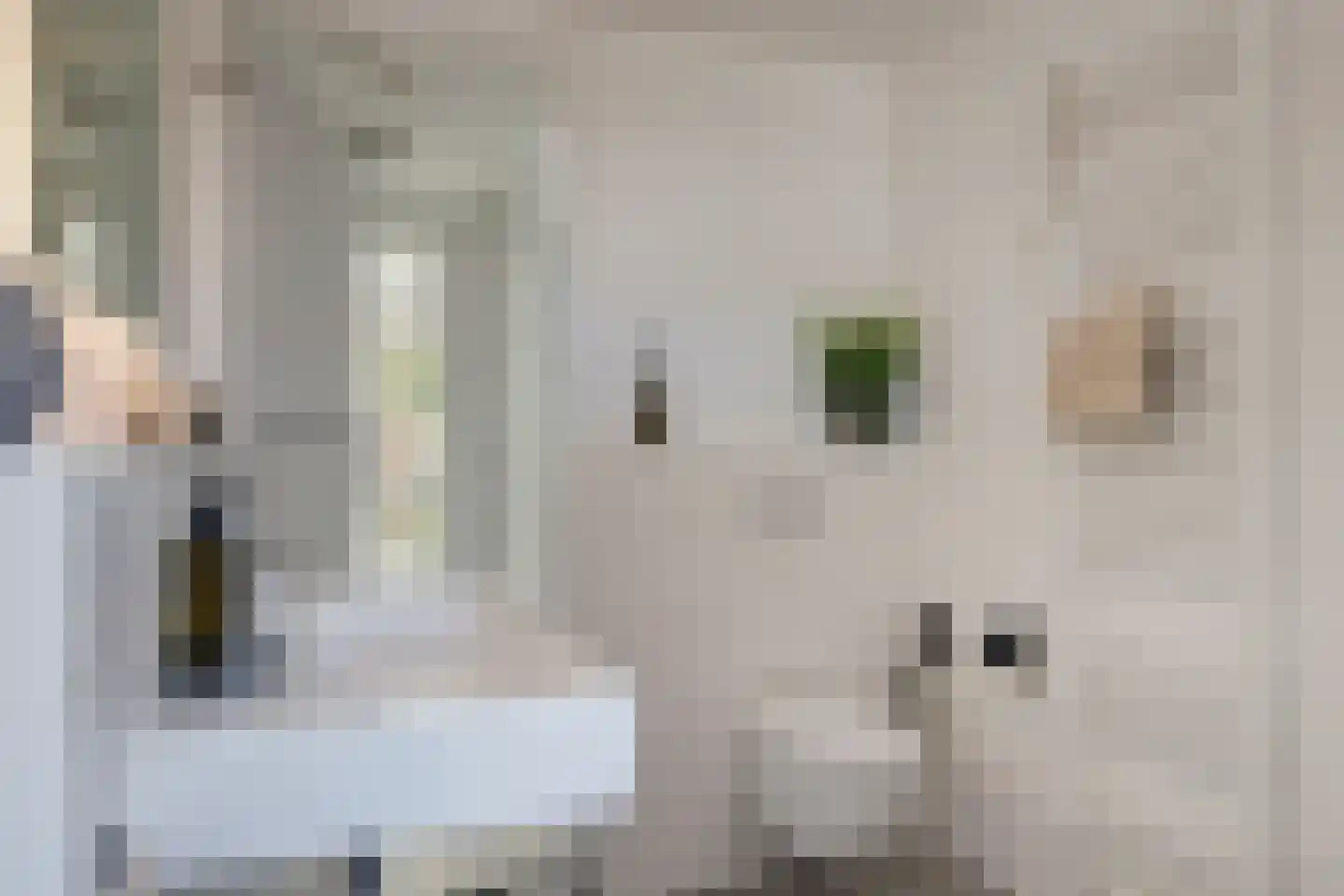 Kuipersdijk 10 Enkhuizen thumbnail 31