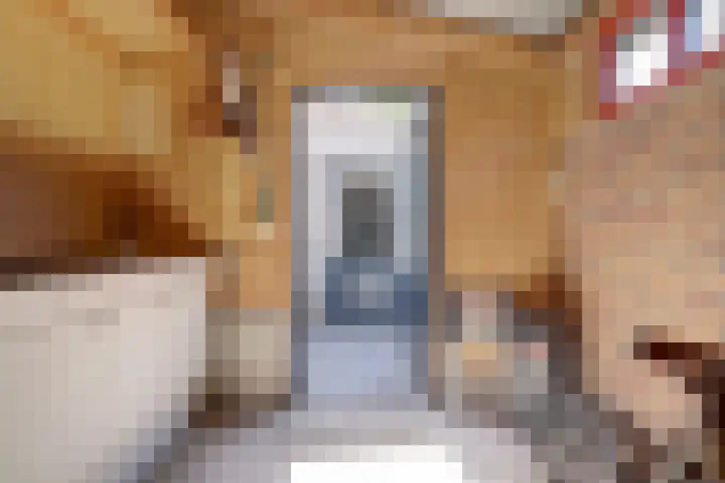 Kuipersdijk 10 Enkhuizen thumbnail 42