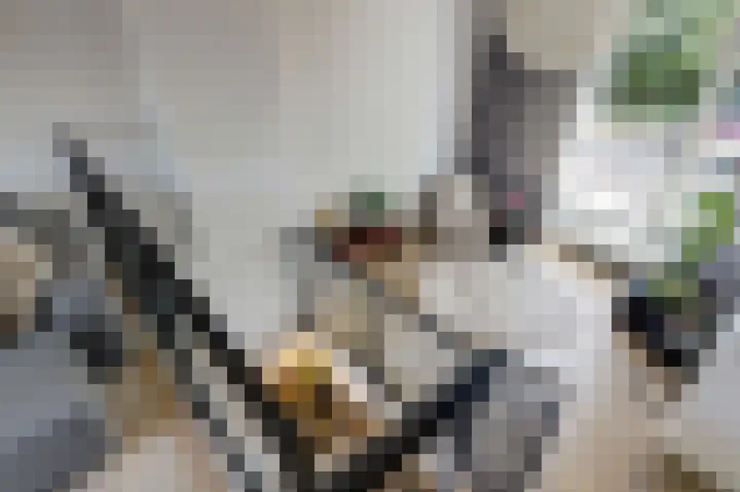 Kuipersdijk 10 Enkhuizen thumbnail 9