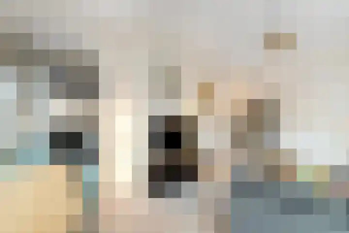 Kuipersdijk 100 Enschede thumbnail 11