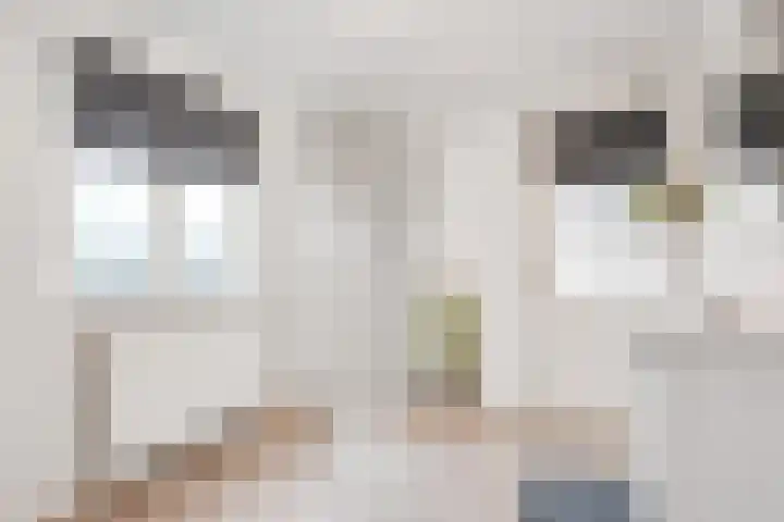Kuipersdijk 100 Enschede thumbnail 17