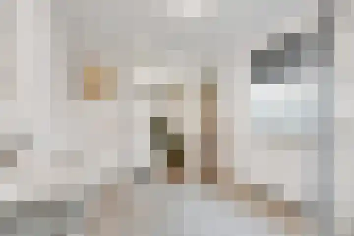 Kuipersdijk 100 Enschede thumbnail 18