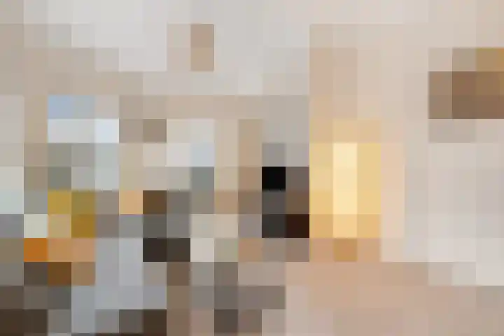 Kuipersdijk 100 Enschede thumbnail 8