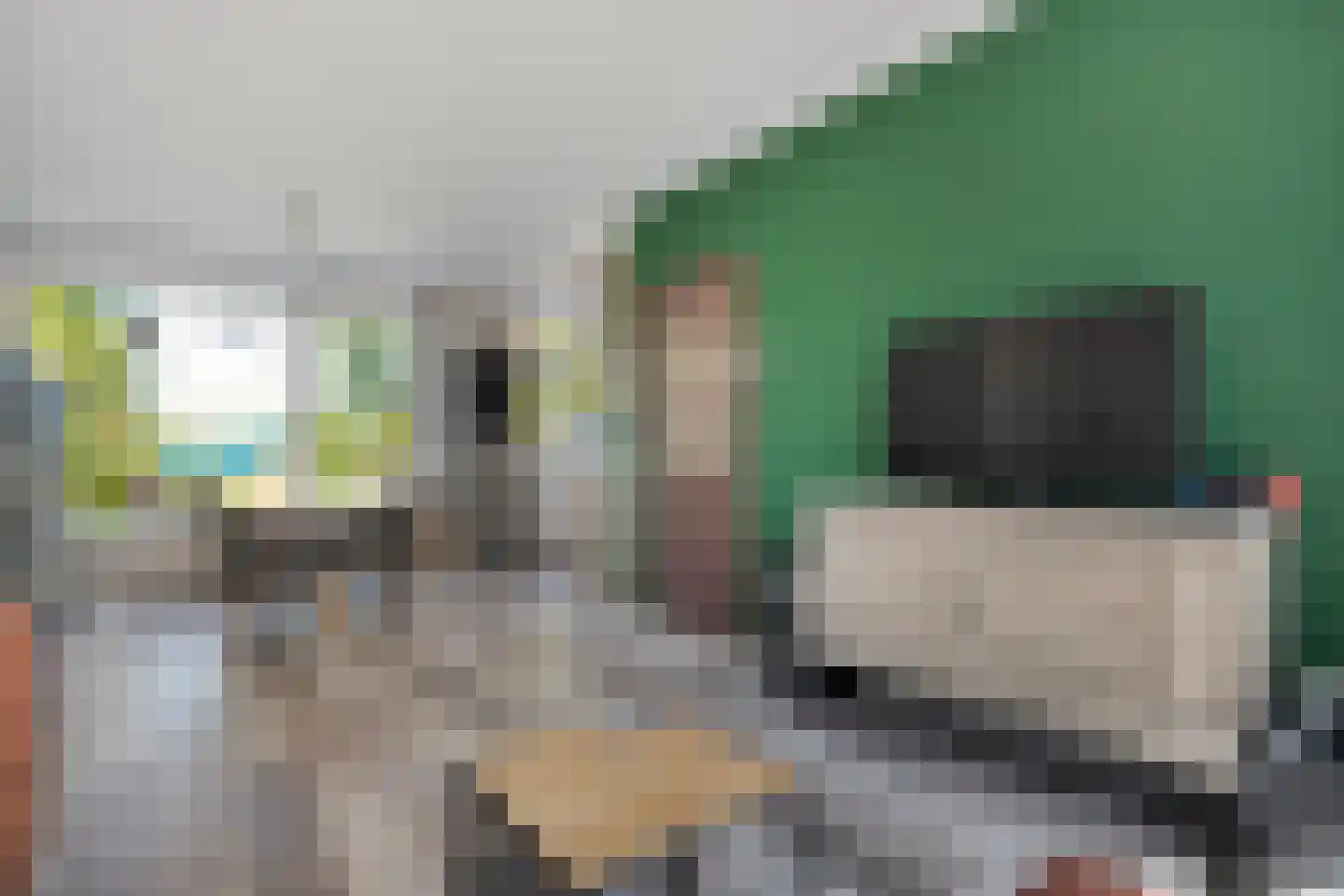 Kuipersdijk 101 Hengelo thumbnail 16