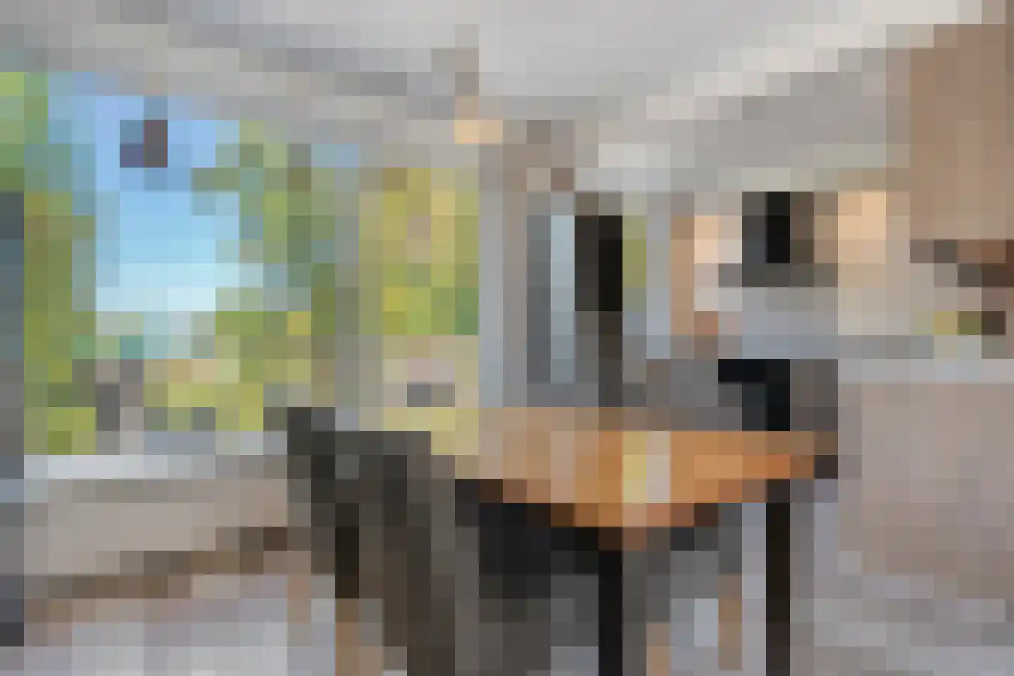 Kuipersdijk 101 Hengelo thumbnail 19