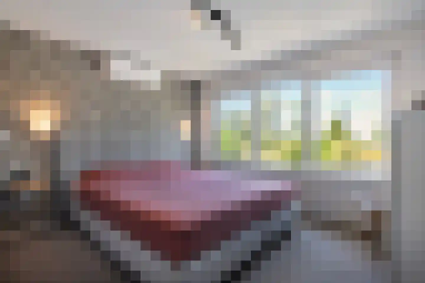 Kuipersdijk 101 Hengelo thumbnail 30
