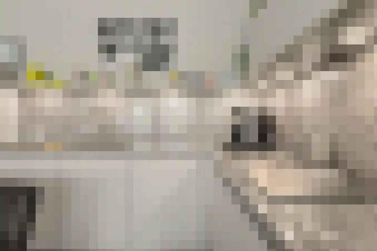 Kuipersdijk 20 54 Enschede thumbnail 15