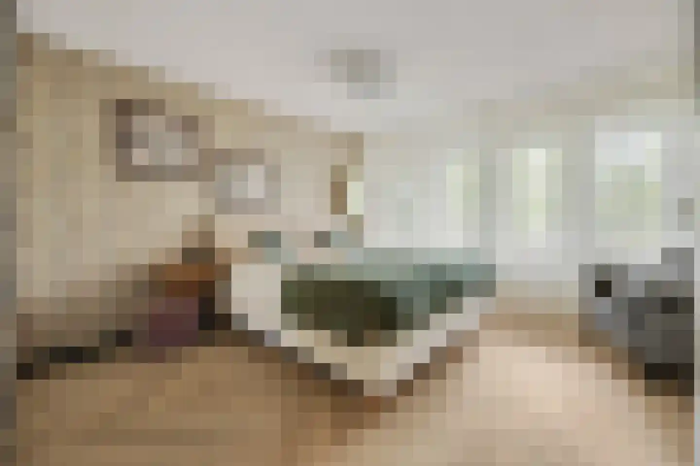 Kuipersdijk 20 54 Enschede thumbnail 16