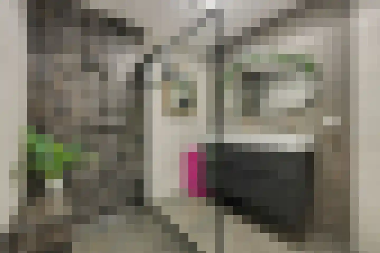 Kuipersdijk 20 54 Enschede thumbnail 20