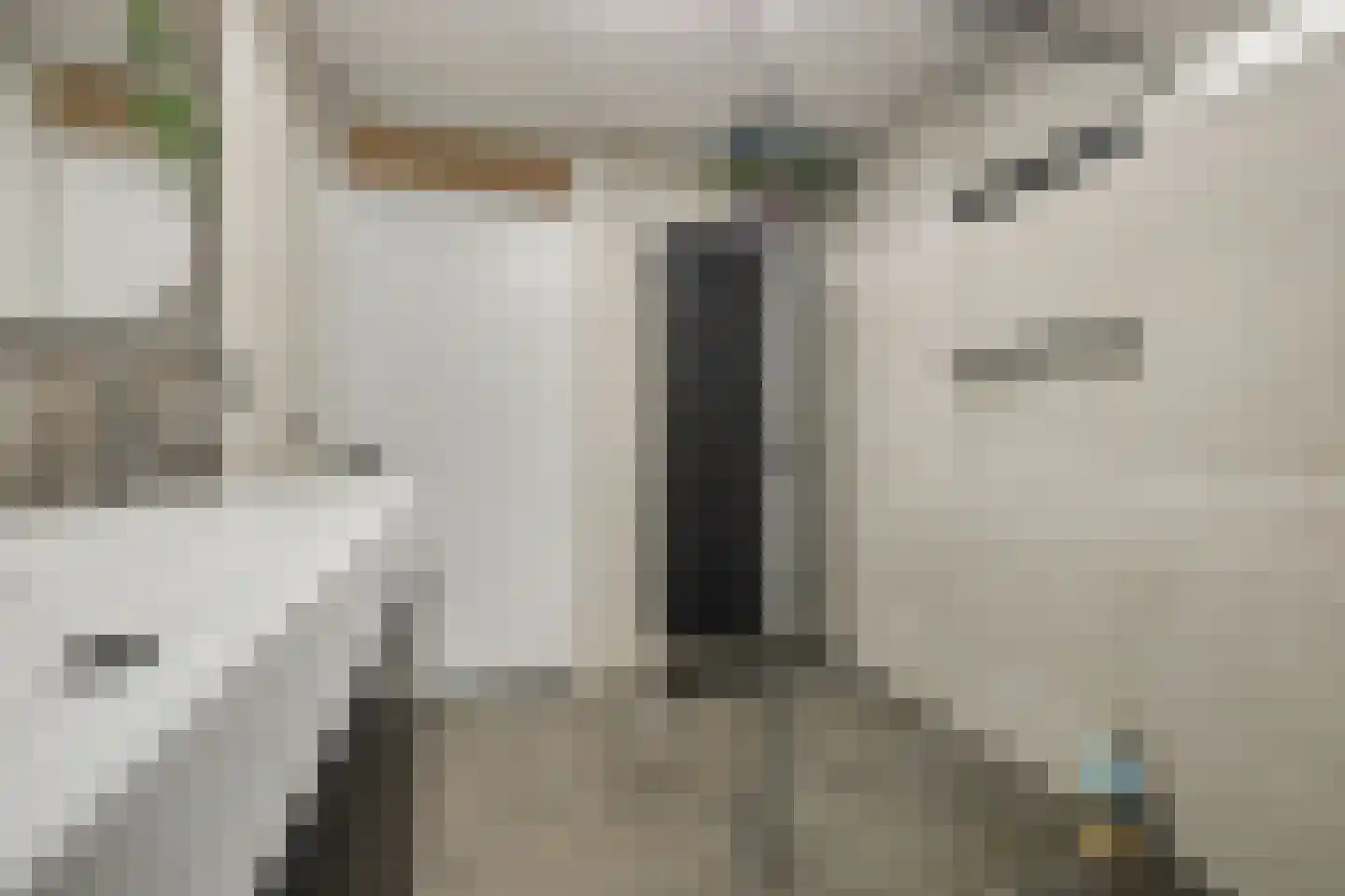 Kuipersdijk 20 54 Enschede thumbnail 22