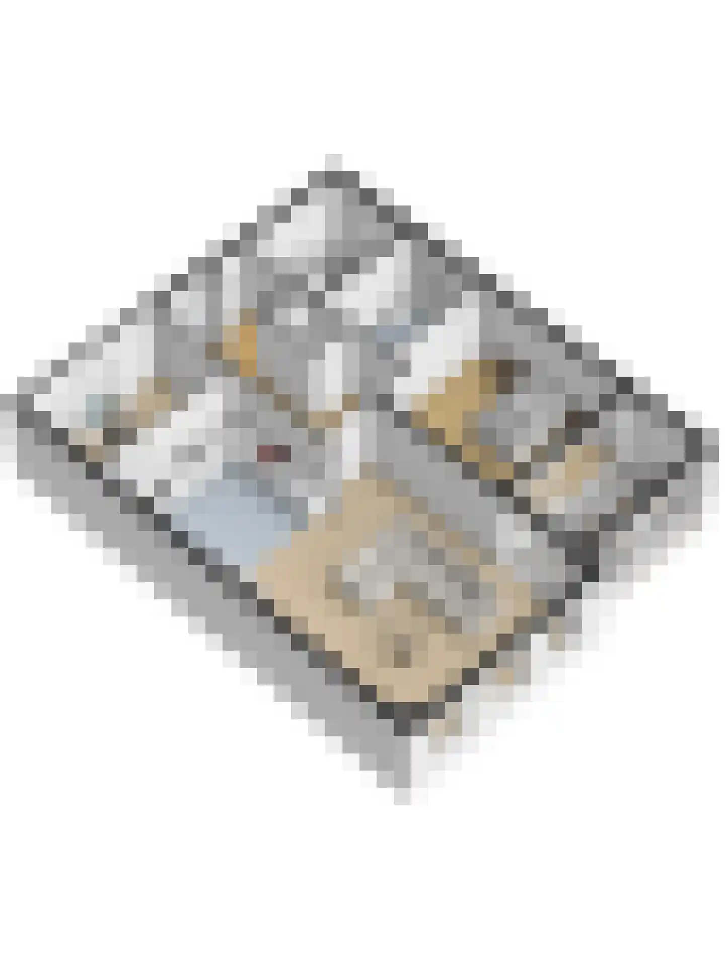 Kuipersdijk 20 54 Enschede thumbnail 34