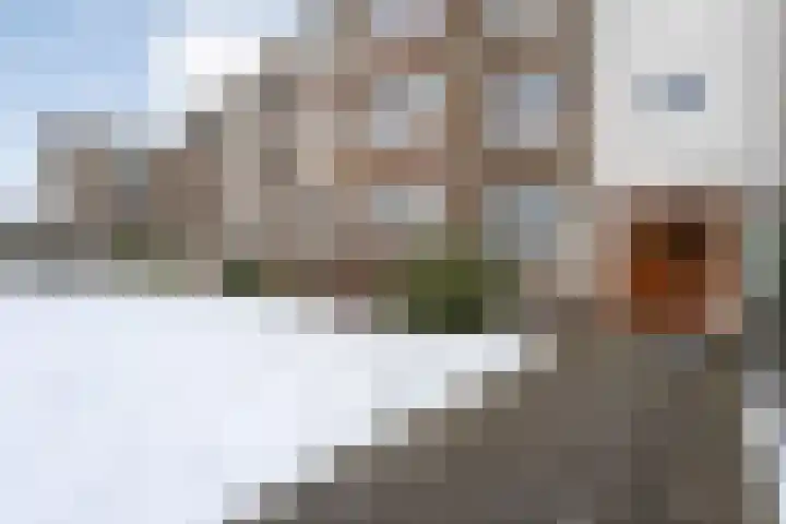 Kuipersdijk 247 Enschede thumbnail 4