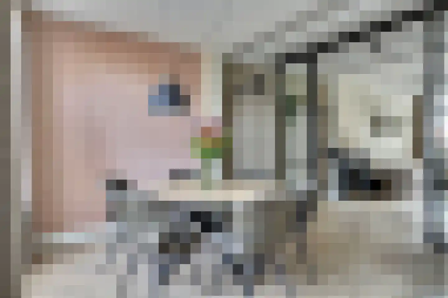 Kuipersdijk 30 Enkhuizen thumbnail 12