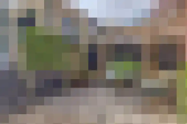 Kuipersdijk 30 Enkhuizen thumbnail 21