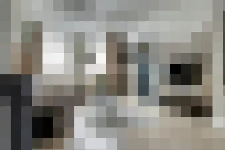 Kuipersdijk 30 Enkhuizen thumbnail 8