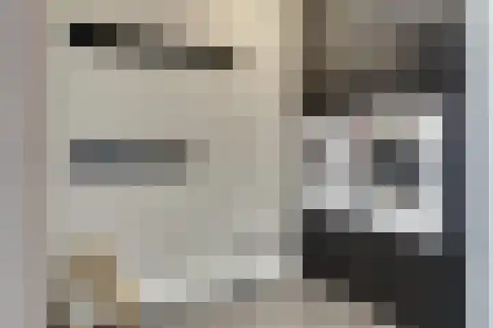 Kuipersdijk 30 Enkhuizen thumbnail 9