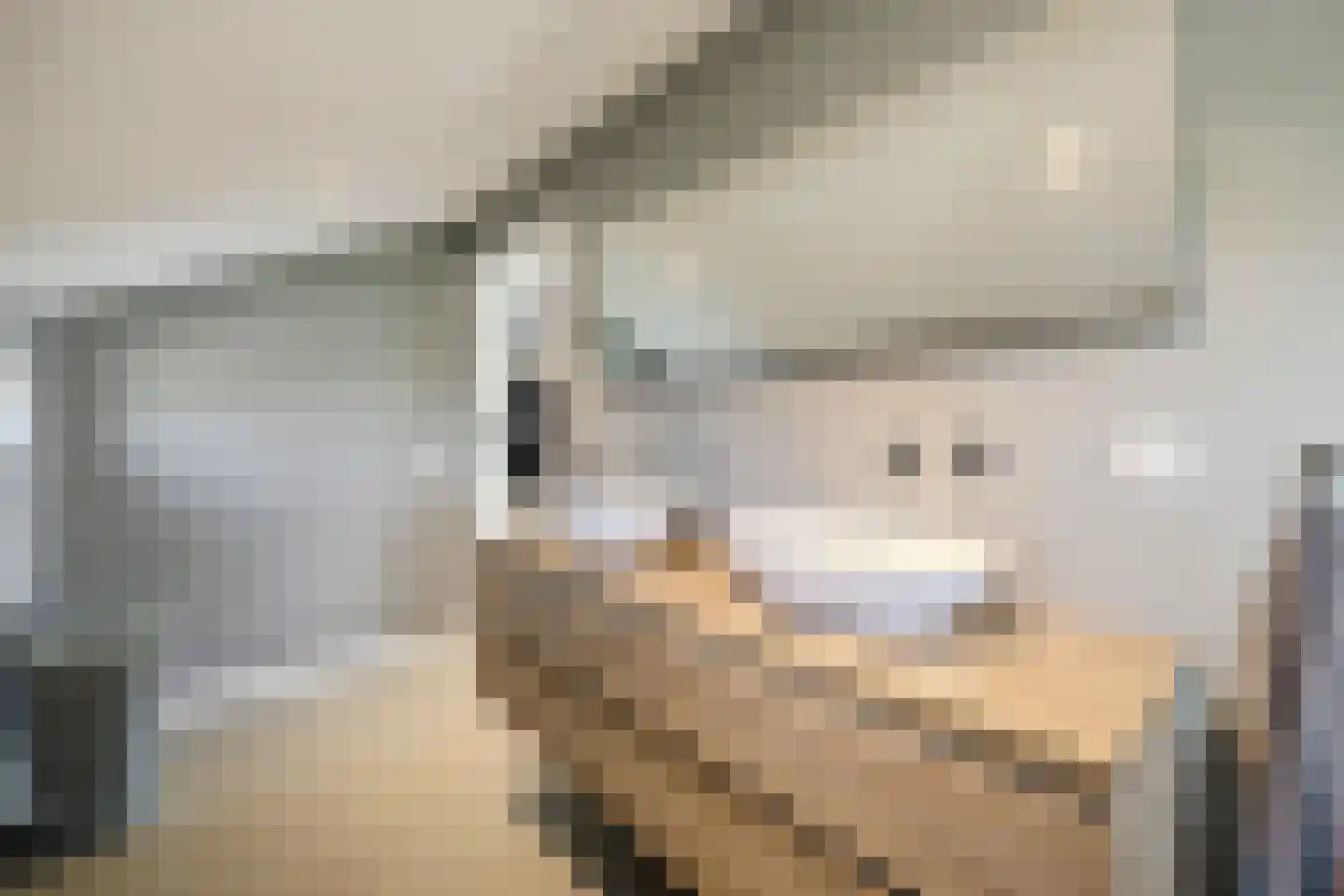 Kuipersdijkje 6 Broekhuizen thumbnail 23