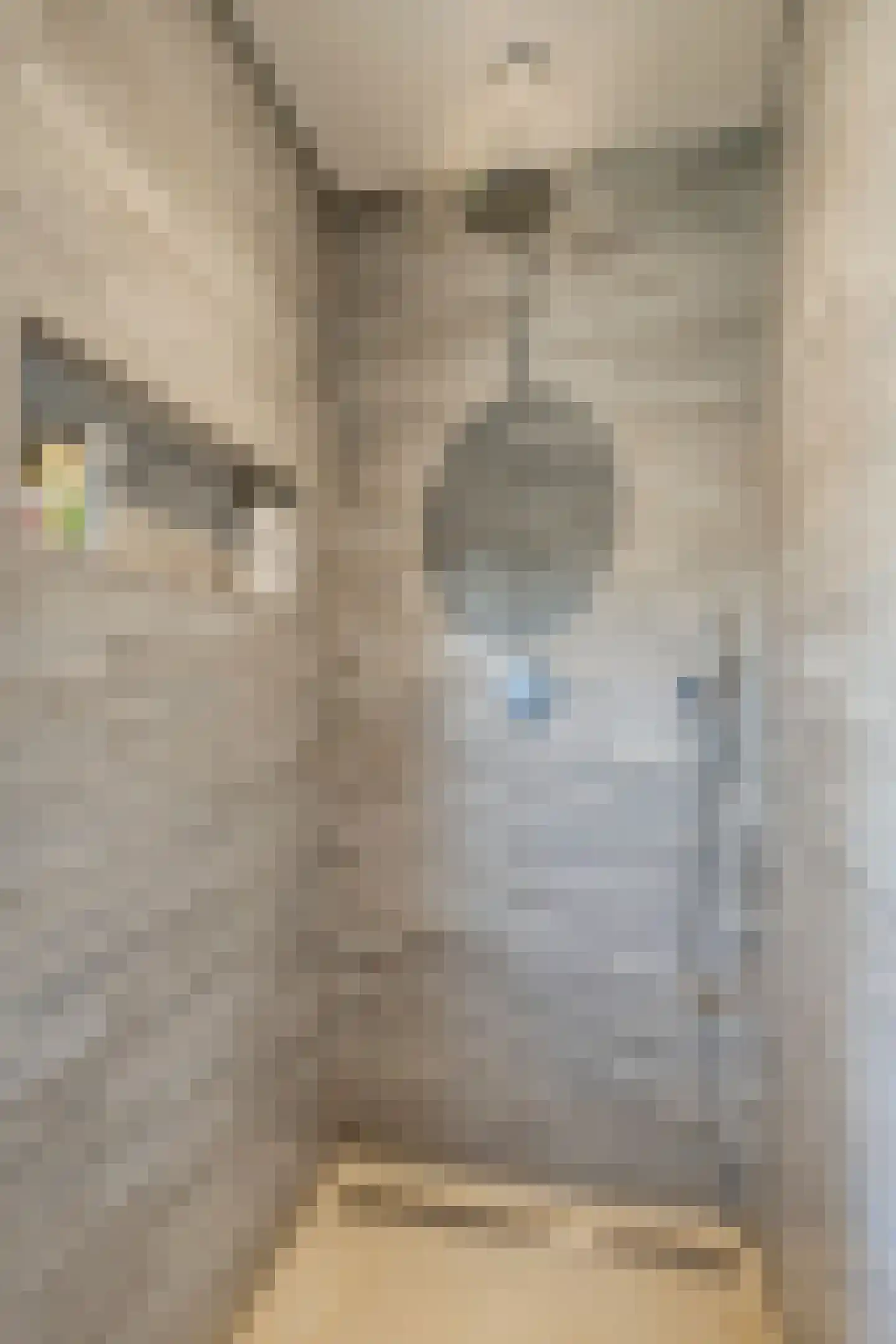Kuipersdijkje 6 Broekhuizen thumbnail 25