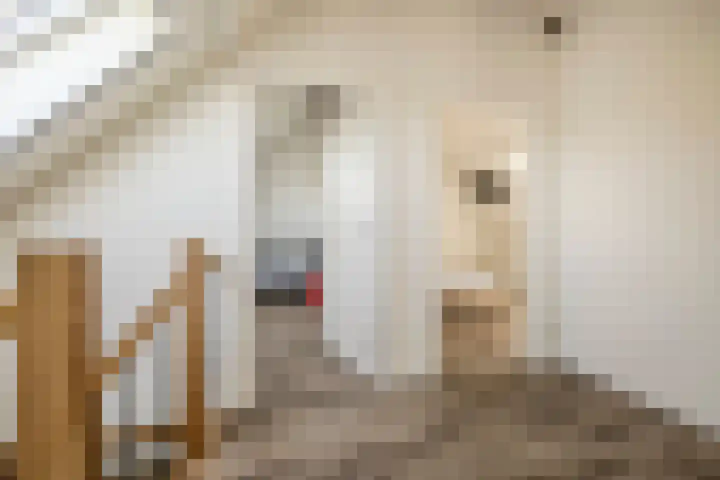 Kuipersdijkje 6 Broekhuizen thumbnail 28