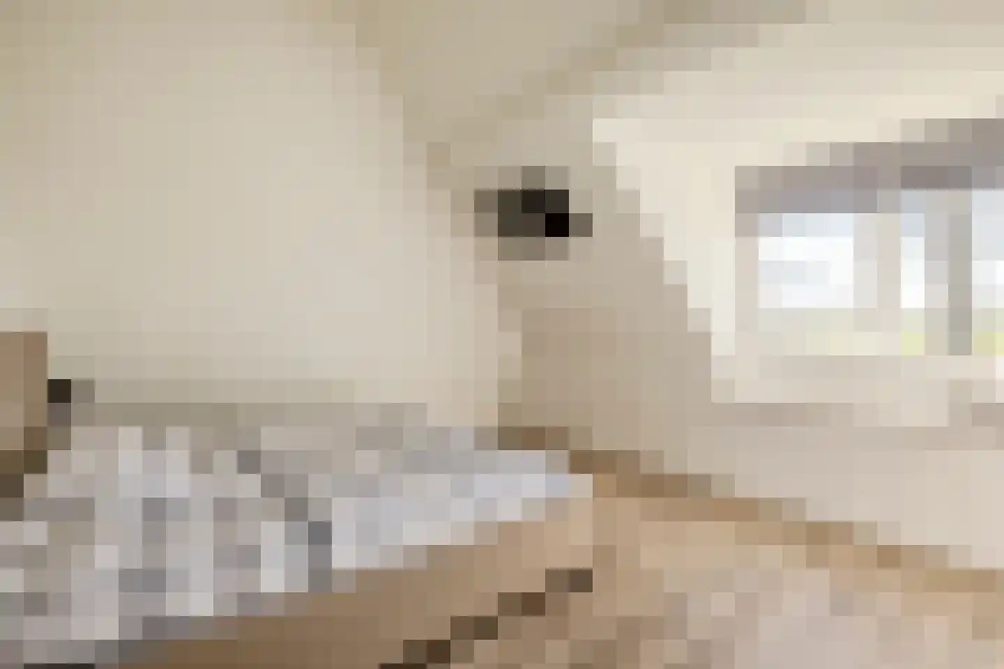 Kuipersdijkje 6 Broekhuizen thumbnail 30
