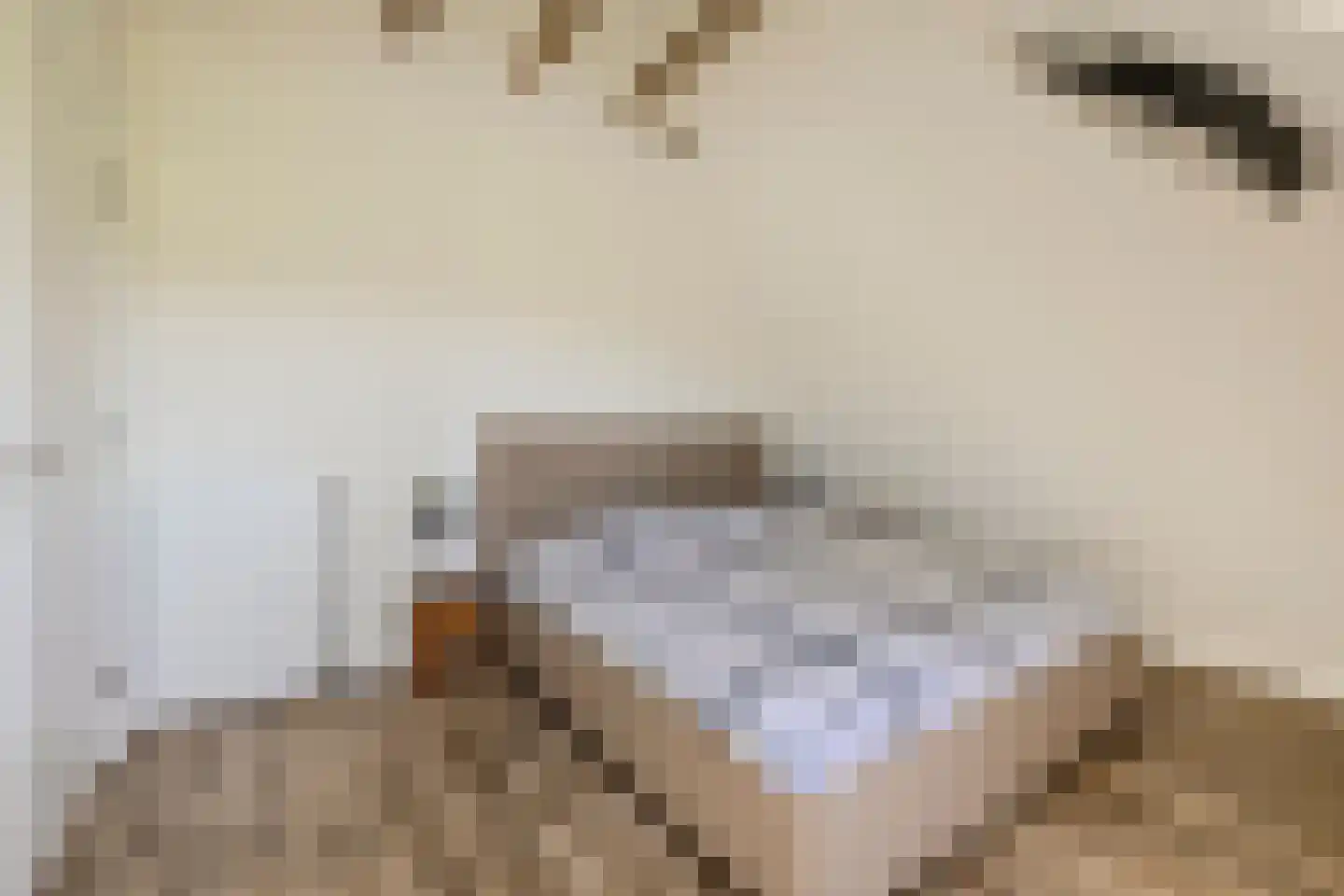 Kuipersdijkje 6 Broekhuizen thumbnail 31