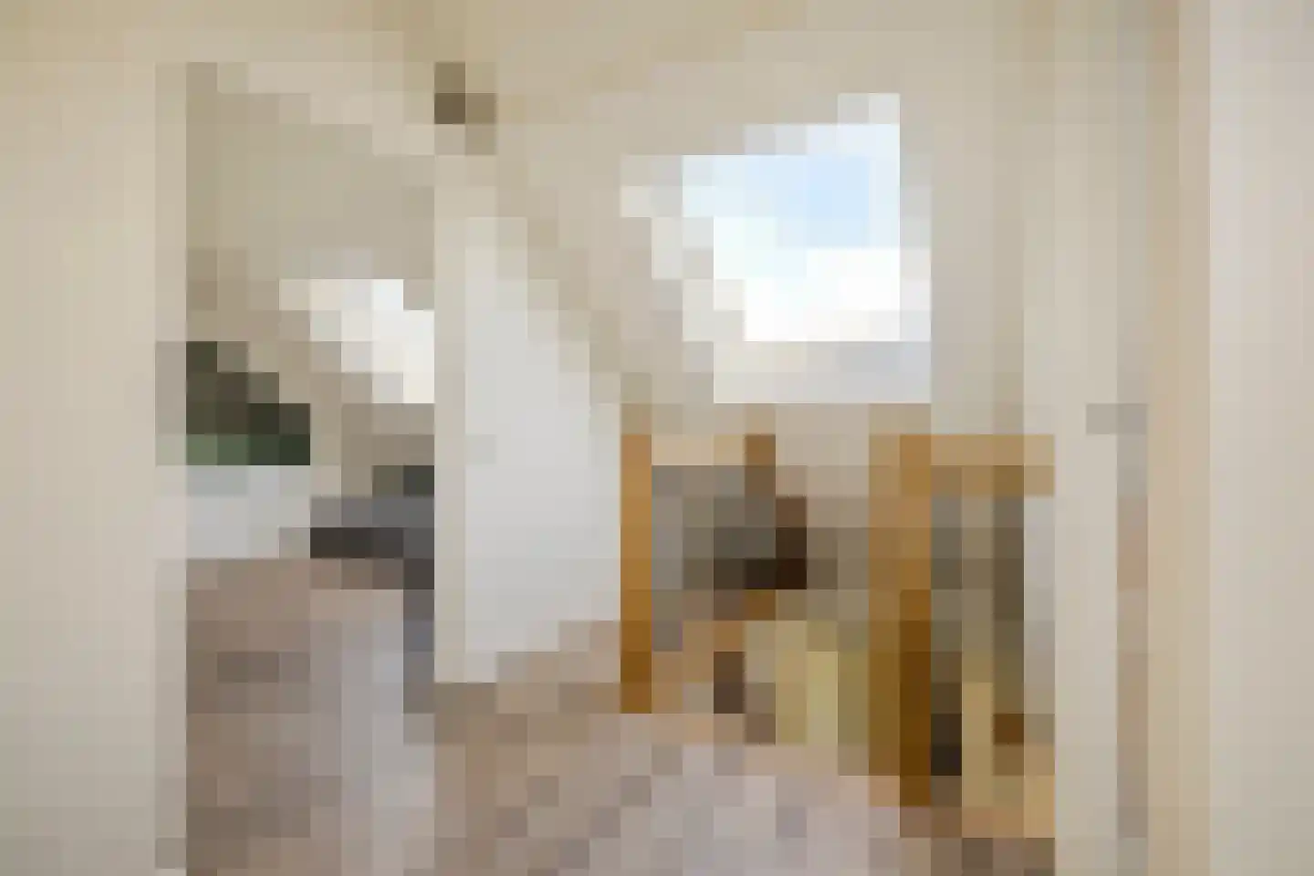 Kuipersdijkje 6 Broekhuizen thumbnail 34