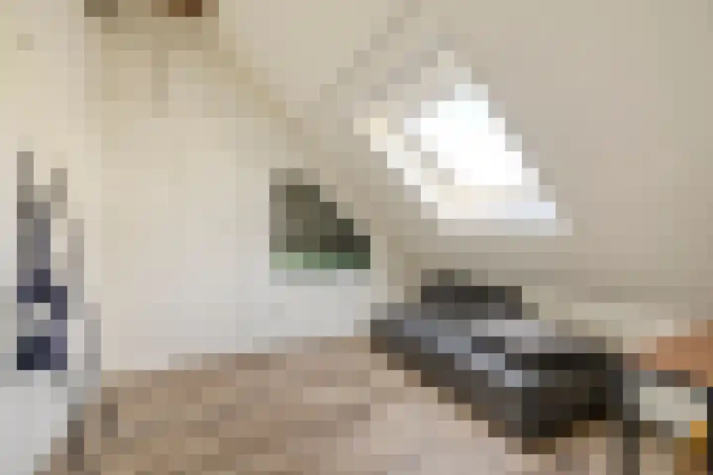 Kuipersdijkje 6 Broekhuizen thumbnail 35