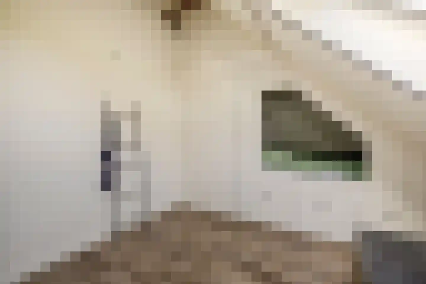 Kuipersdijkje 6 Broekhuizen thumbnail 36